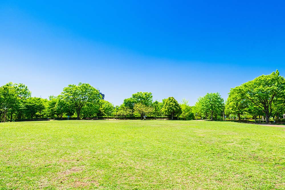 施設の予約、行事内容